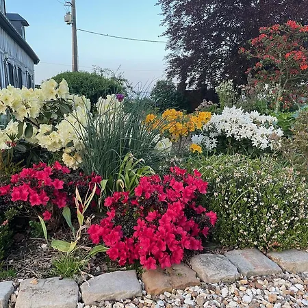 別荘 4 Avec Cheminee